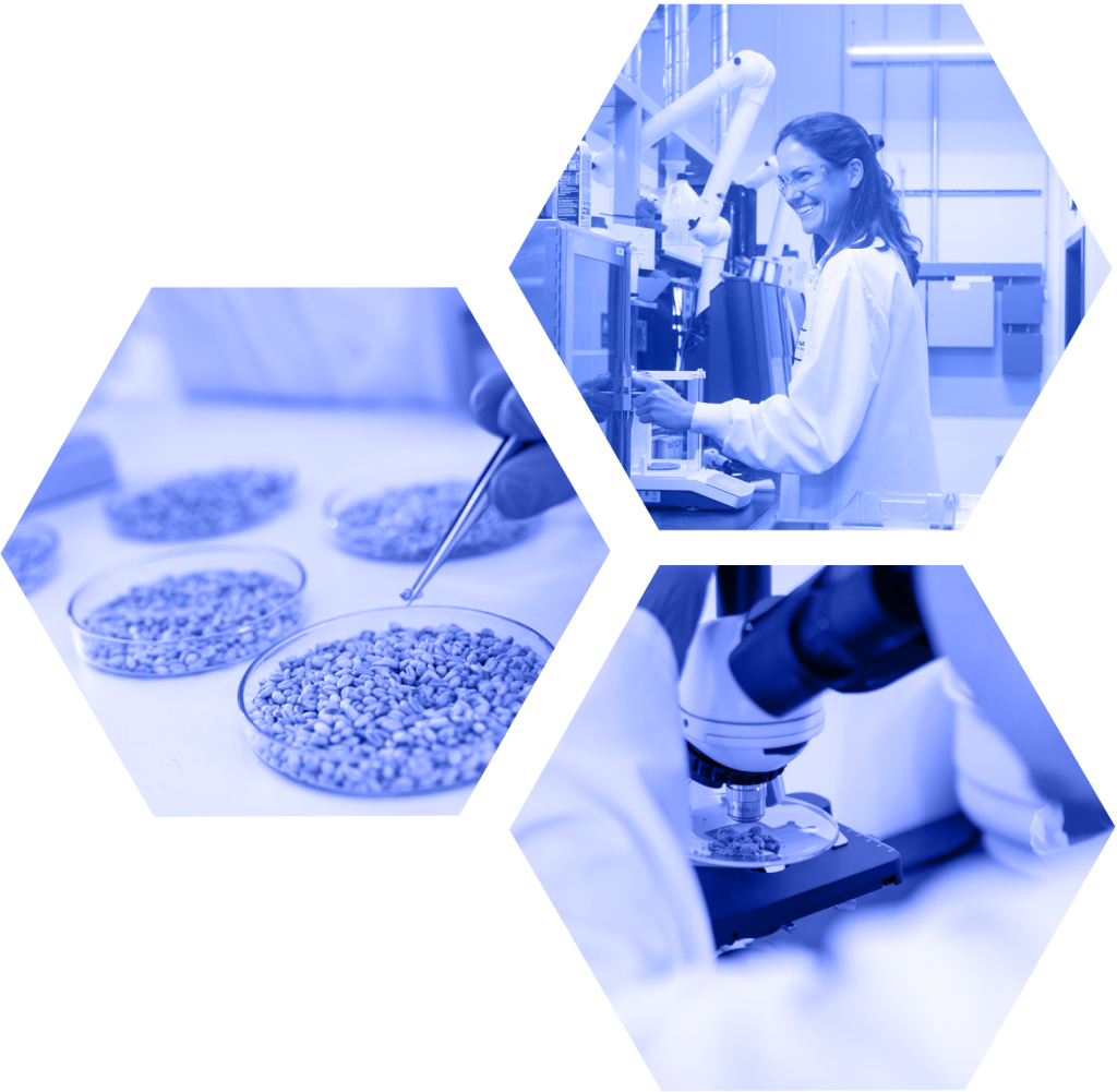 Foundation Lab Prospect Landing Page | Foundation Analytical Laboratory